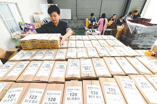 雙十一碭山縣 互聯網助力水果銷售，助農增收熱火朝天